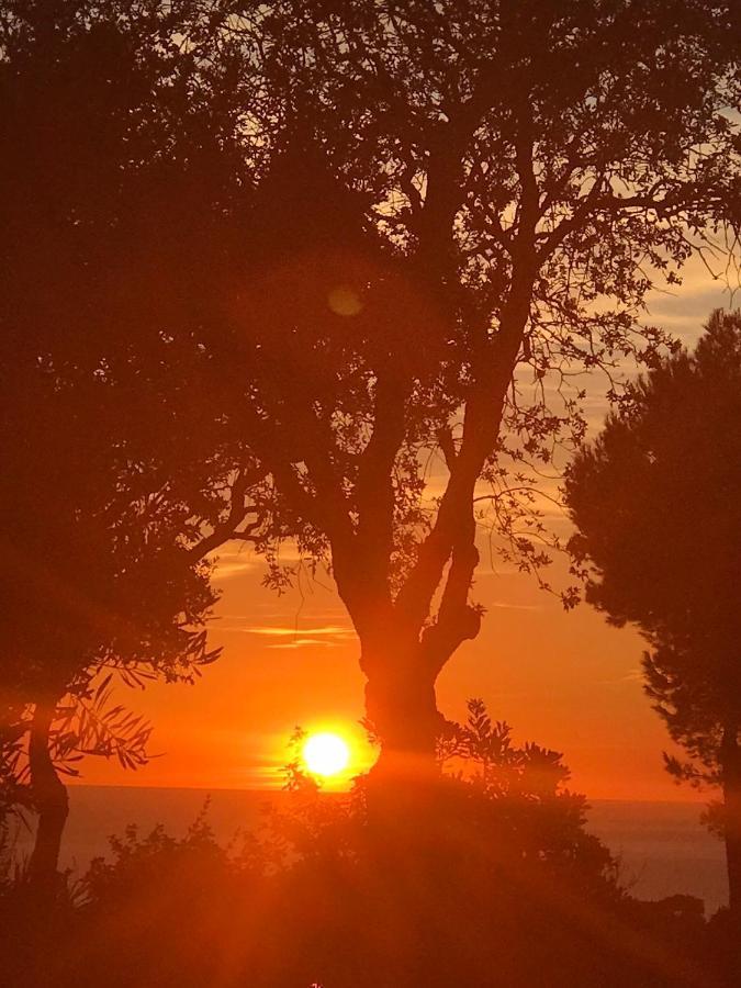 La Bastide Belle Vue Villa ซิ-ฟูร์-เล-ปลาจ ภายนอก รูปภาพ