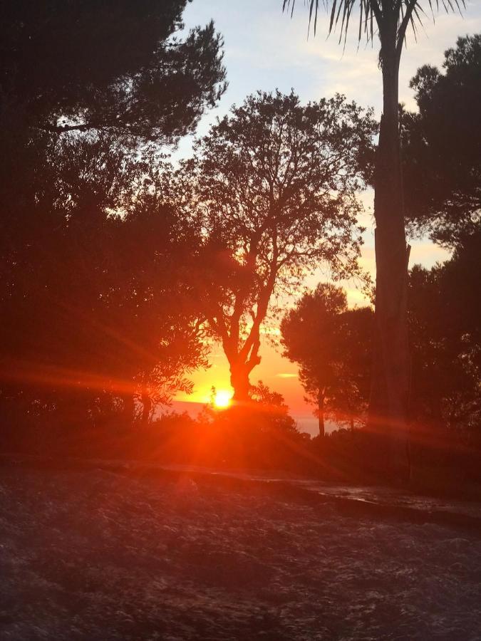 La Bastide Belle Vue Villa ซิ-ฟูร์-เล-ปลาจ ภายนอก รูปภาพ